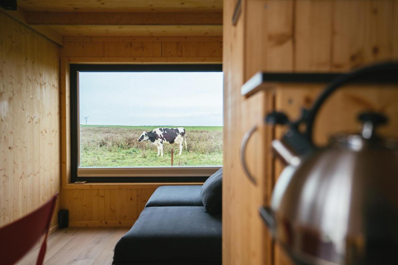 Tiny House Nature 9 Zur Kuhweide - Green Tiny Village Harlesiel Carolinensiel Ngoại thất bức ảnh